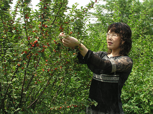 说明: http://www.newvision-optical.com/teacher-info/personal%20info/photo/kongfengjun.JPG